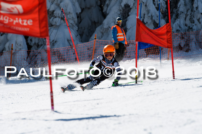 Ziener Cup WF, Finale, Quali + Parallelslalom, 24.03.2018