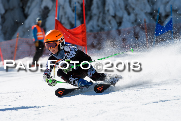 Ziener Cup WF, Finale, Quali + Parallelslalom, 24.03.2018