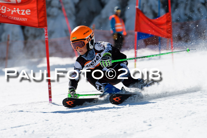 Ziener Cup WF, Finale, Quali + Parallelslalom, 24.03.2018
