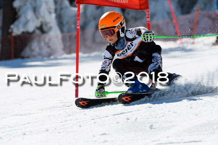 Ziener Cup WF, Finale, Quali + Parallelslalom, 24.03.2018