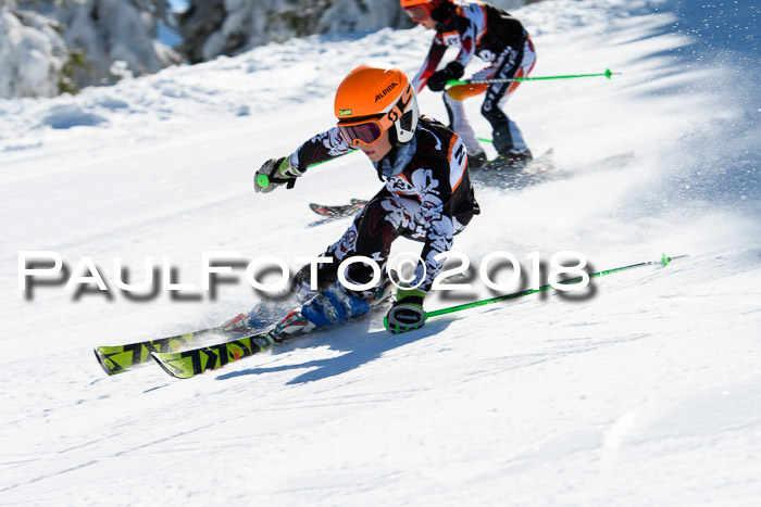 Ziener Cup WF, Finale, Quali + Parallelslalom, 24.03.2018