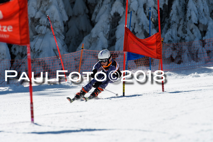 Ziener Cup WF, Finale, Quali + Parallelslalom, 24.03.2018