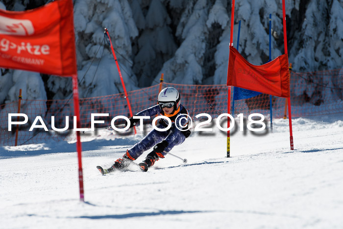 Ziener Cup WF, Finale, Quali + Parallelslalom, 24.03.2018