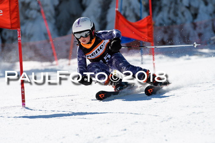 Ziener Cup WF, Finale, Quali + Parallelslalom, 24.03.2018
