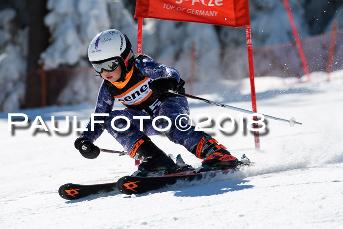 Ziener Cup WF, Finale, Quali + Parallelslalom, 24.03.2018