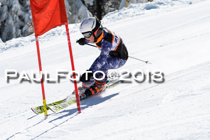 Ziener Cup WF, Finale, Quali + Parallelslalom, 24.03.2018