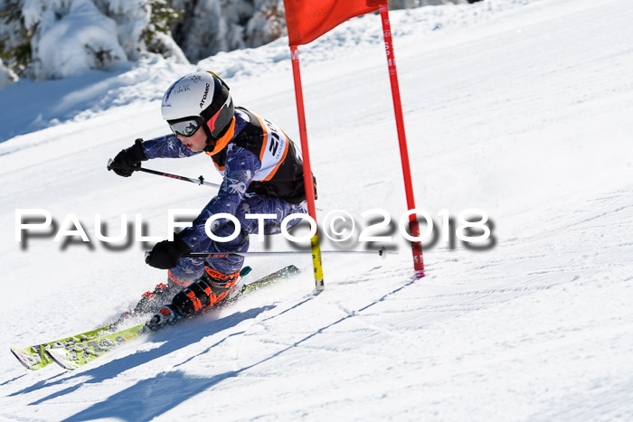 Ziener Cup WF, Finale, Quali + Parallelslalom, 24.03.2018