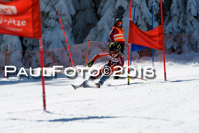 Ziener Cup WF, Finale, Quali + Parallelslalom, 24.03.2018