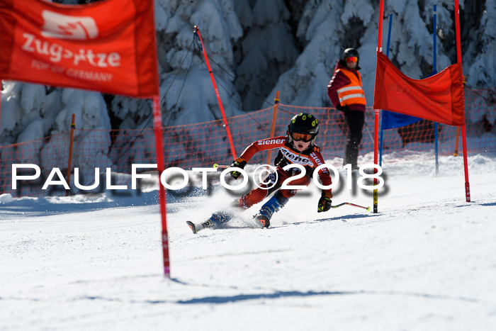 Ziener Cup WF, Finale, Quali + Parallelslalom, 24.03.2018