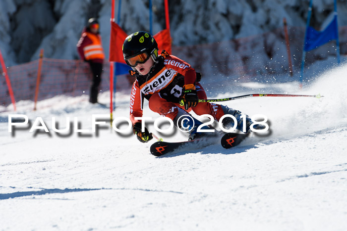 Ziener Cup WF, Finale, Quali + Parallelslalom, 24.03.2018