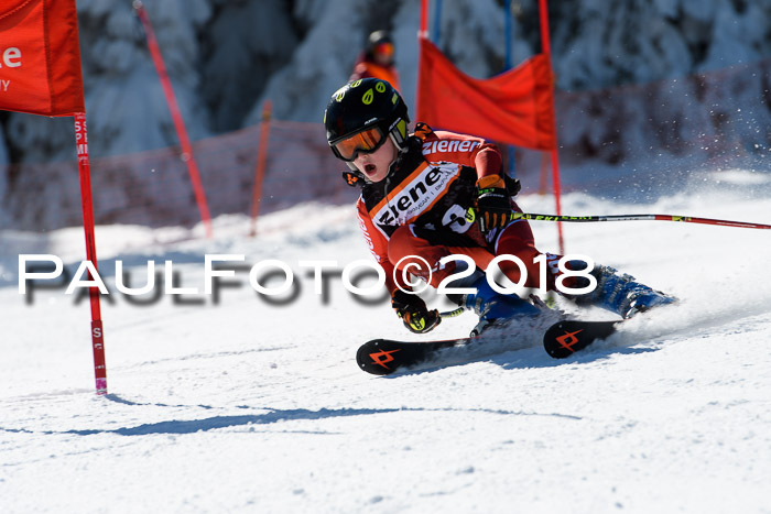 Ziener Cup WF, Finale, Quali + Parallelslalom, 24.03.2018