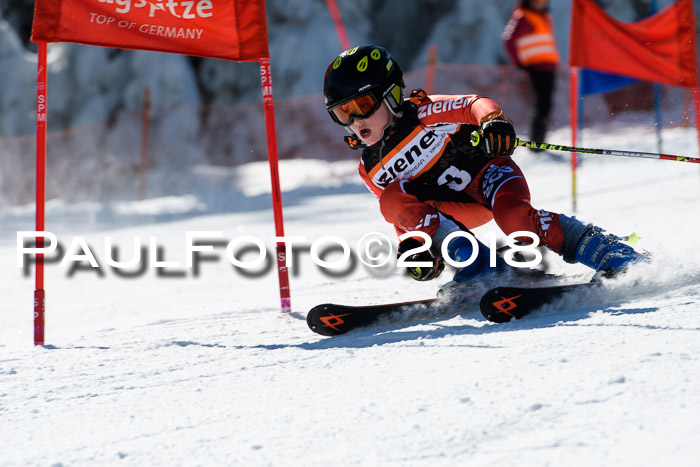 Ziener Cup WF, Finale, Quali + Parallelslalom, 24.03.2018