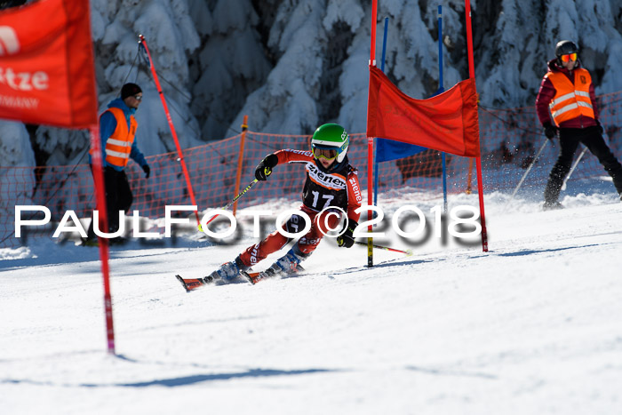 Ziener Cup WF, Finale, Quali + Parallelslalom, 24.03.2018