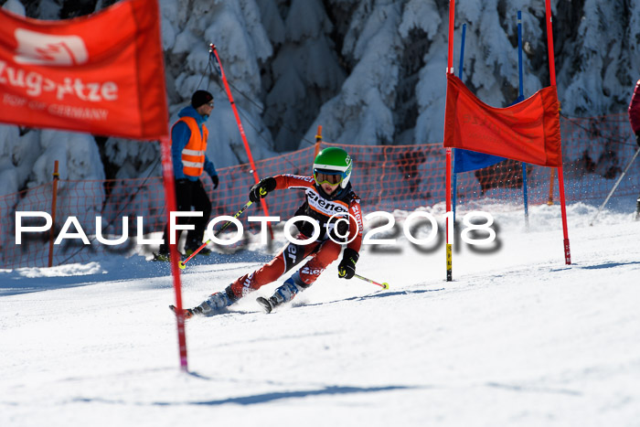 Ziener Cup WF, Finale, Quali + Parallelslalom, 24.03.2018