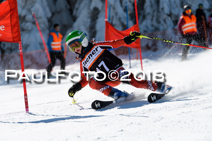 Ziener Cup WF, Finale, Quali + Parallelslalom, 24.03.2018