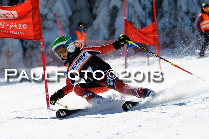 Ziener Cup WF, Finale, Quali + Parallelslalom, 24.03.2018