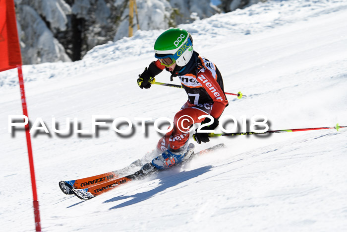 Ziener Cup WF, Finale, Quali + Parallelslalom, 24.03.2018