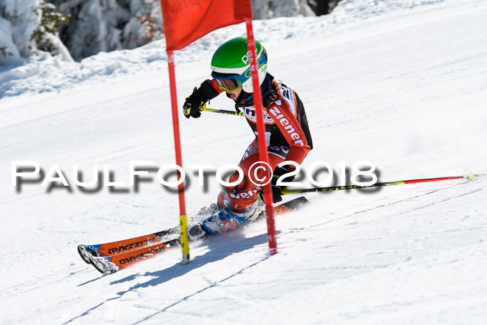 Ziener Cup WF, Finale, Quali + Parallelslalom, 24.03.2018