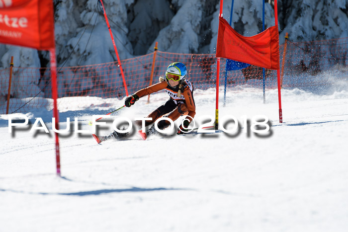 Ziener Cup WF, Finale, Quali + Parallelslalom, 24.03.2018