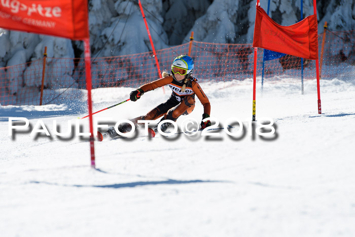 Ziener Cup WF, Finale, Quali + Parallelslalom, 24.03.2018