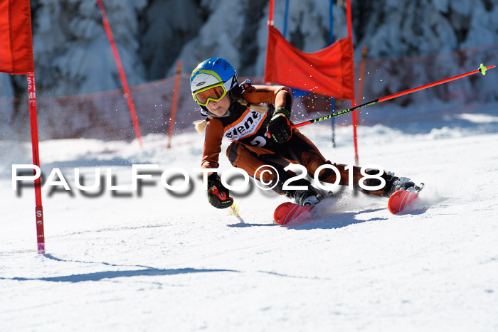 Ziener Cup WF, Finale, Quali + Parallelslalom, 24.03.2018