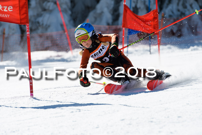 Ziener Cup WF, Finale, Quali + Parallelslalom, 24.03.2018