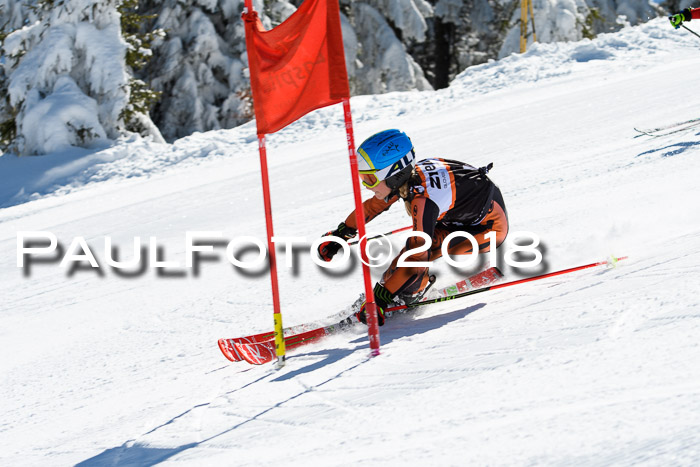 Ziener Cup WF, Finale, Quali + Parallelslalom, 24.03.2018