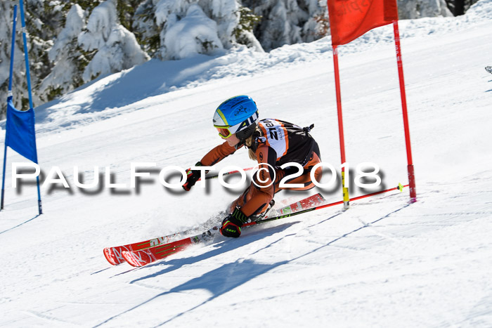 Ziener Cup WF, Finale, Quali + Parallelslalom, 24.03.2018