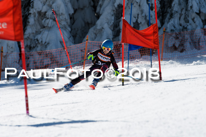 Ziener Cup WF, Finale, Quali + Parallelslalom, 24.03.2018