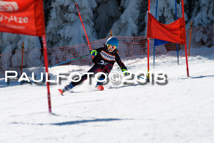 Ziener Cup WF, Finale, Quali + Parallelslalom, 24.03.2018