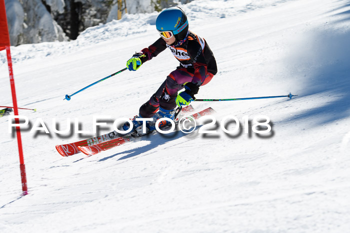 Ziener Cup WF, Finale, Quali + Parallelslalom, 24.03.2018