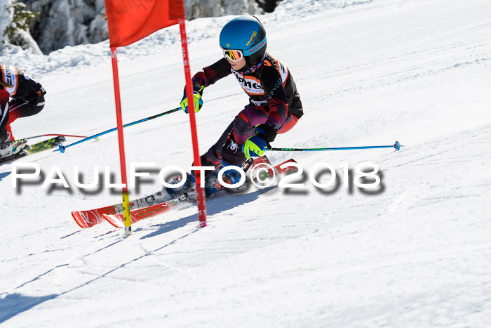Ziener Cup WF, Finale, Quali + Parallelslalom, 24.03.2018
