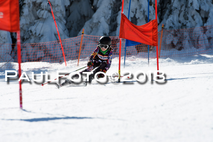 Ziener Cup WF, Finale, Quali + Parallelslalom, 24.03.2018