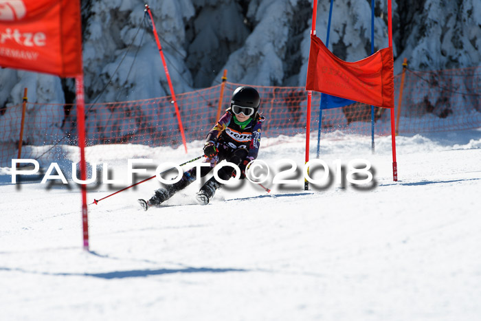 Ziener Cup WF, Finale, Quali + Parallelslalom, 24.03.2018