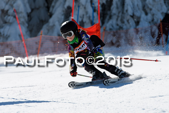 Ziener Cup WF, Finale, Quali + Parallelslalom, 24.03.2018