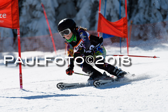 Ziener Cup WF, Finale, Quali + Parallelslalom, 24.03.2018