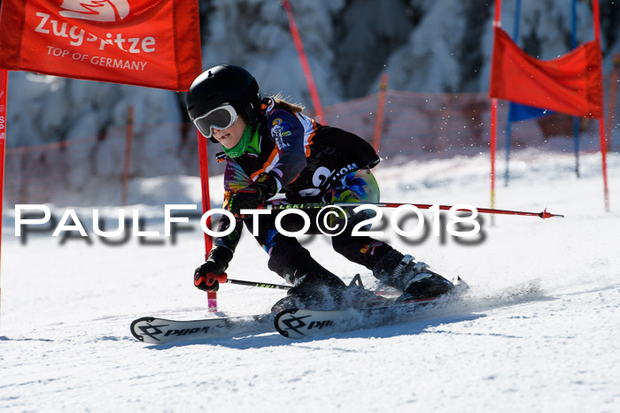 Ziener Cup WF, Finale, Quali + Parallelslalom, 24.03.2018