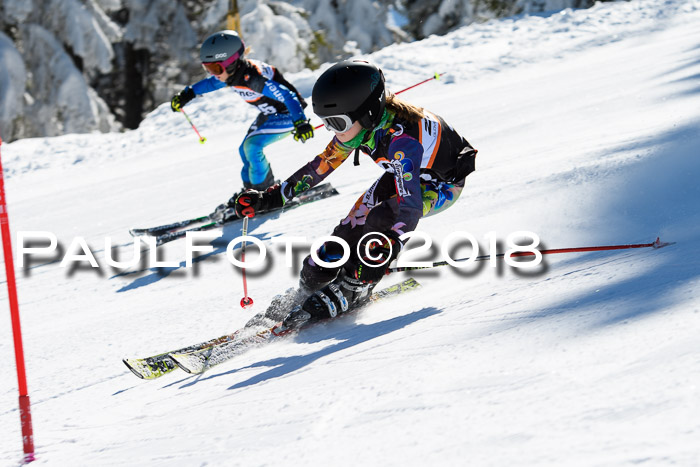 Ziener Cup WF, Finale, Quali + Parallelslalom, 24.03.2018