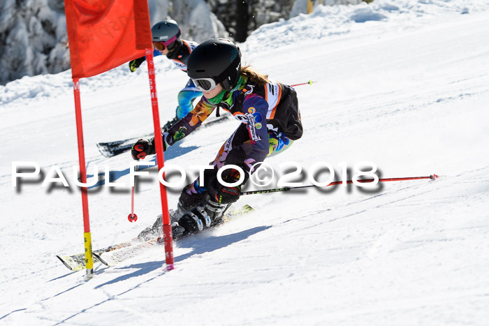 Ziener Cup WF, Finale, Quali + Parallelslalom, 24.03.2018
