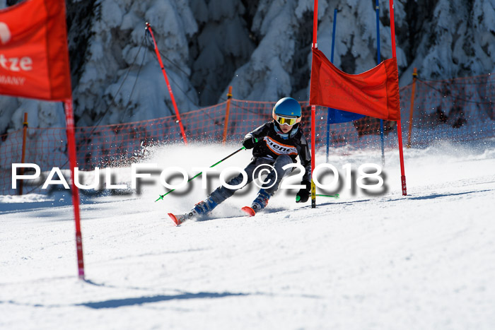 Ziener Cup WF, Finale, Quali + Parallelslalom, 24.03.2018