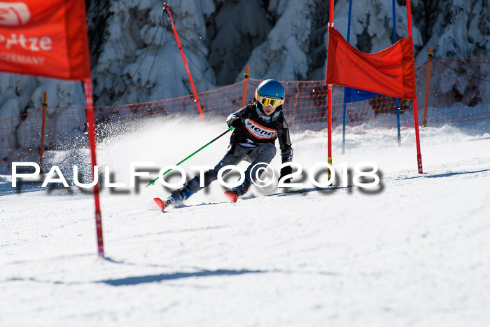 Ziener Cup WF, Finale, Quali + Parallelslalom, 24.03.2018