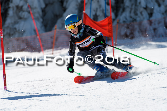 Ziener Cup WF, Finale, Quali + Parallelslalom, 24.03.2018