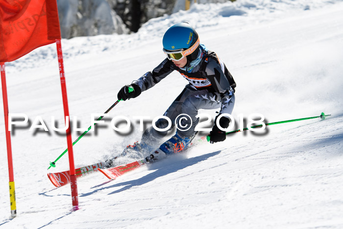 Ziener Cup WF, Finale, Quali + Parallelslalom, 24.03.2018