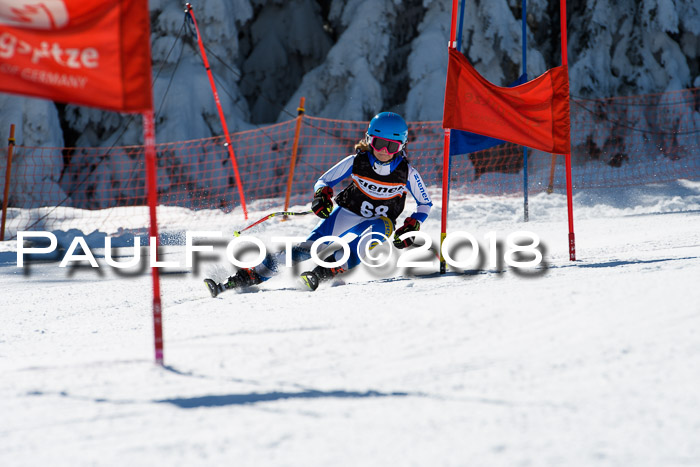 Ziener Cup WF, Finale, Quali + Parallelslalom, 24.03.2018