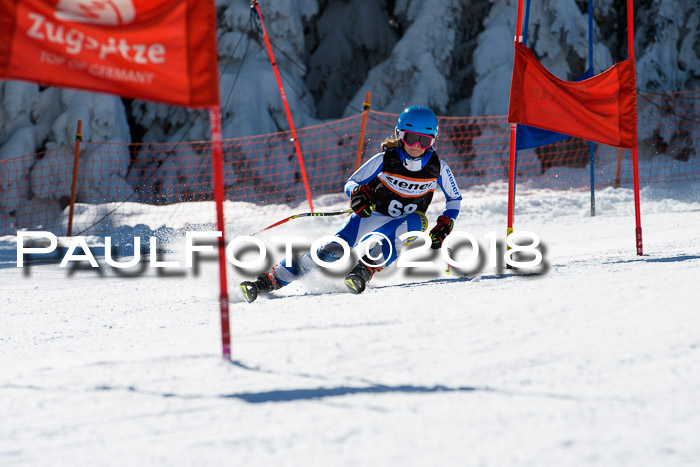 Ziener Cup WF, Finale, Quali + Parallelslalom, 24.03.2018