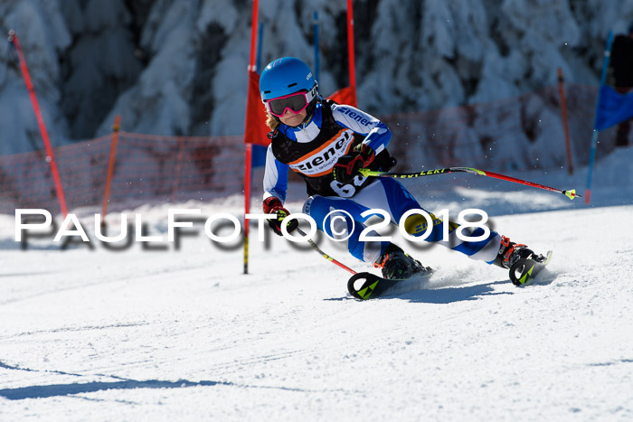 Ziener Cup WF, Finale, Quali + Parallelslalom, 24.03.2018