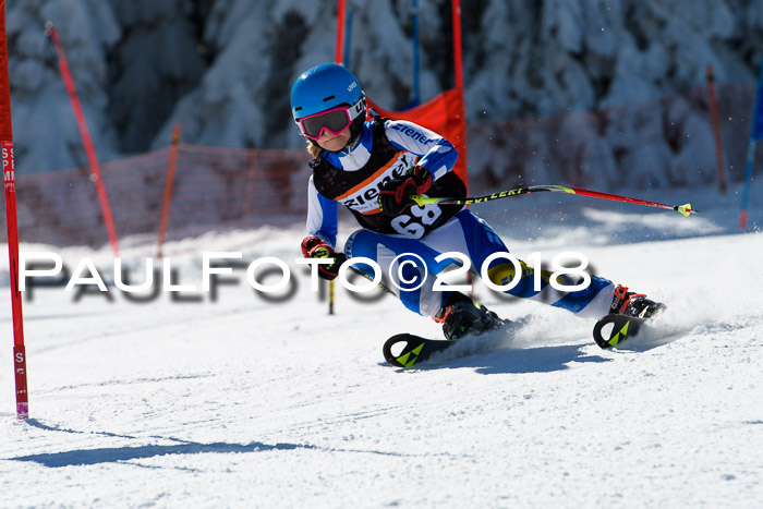 Ziener Cup WF, Finale, Quali + Parallelslalom, 24.03.2018