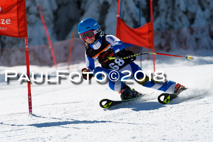 Ziener Cup WF, Finale, Quali + Parallelslalom, 24.03.2018