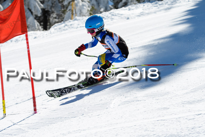 Ziener Cup WF, Finale, Quali + Parallelslalom, 24.03.2018