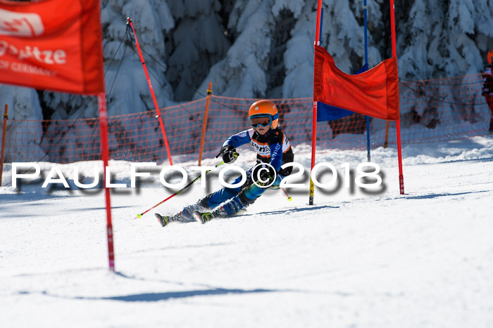 Ziener Cup WF, Finale, Quali + Parallelslalom, 24.03.2018